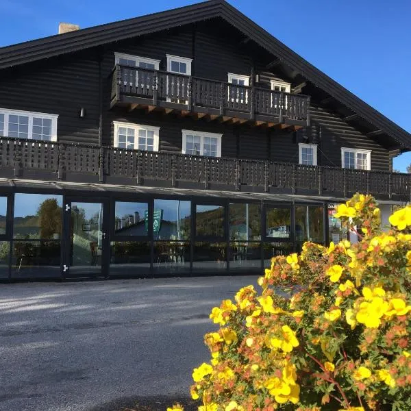 Øen Turistsenter Apartments，位于Hol的酒店