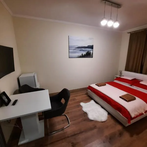 Borostyán Panzió，位于德布勒森的酒店