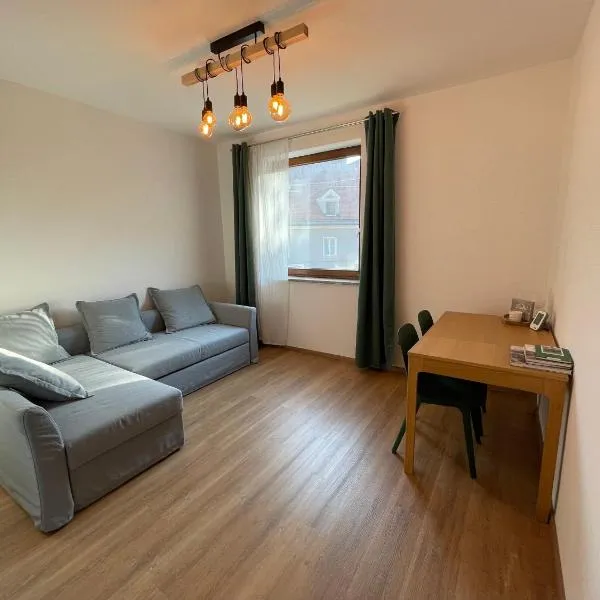 Zentrum & Parkmöglichkeit Apartment,位于格拉茨的酒店