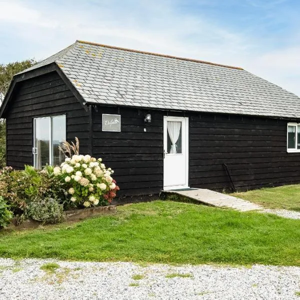 Dolphin Lodge，位于以撒港的酒店