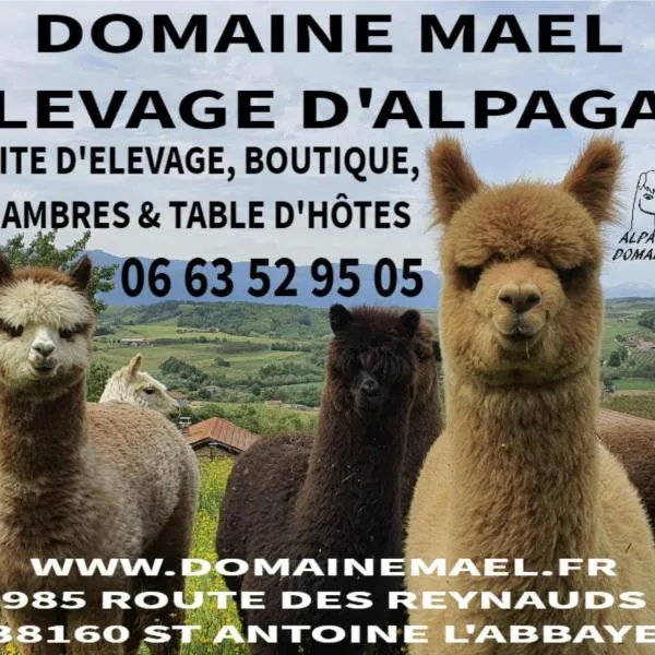 ALPAGAS DU DOMAINE MAEL，位于Saint-Hilaire-du-Rosier的酒店