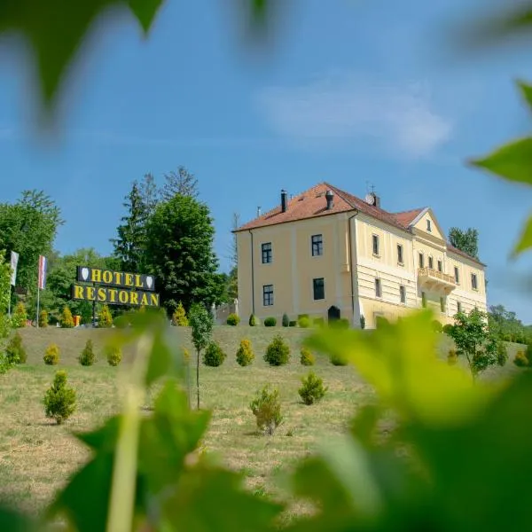 Hotel & Restoran Dvorac Gjalski，位于Vrtnjakovec的酒店