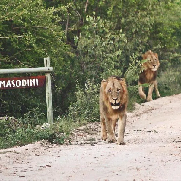 Masodini Game Lodge，位于侯斯普瑞特的酒店