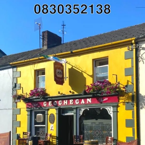 Geoghegans Magpie Bar and B&B，位于Carrigkerry的酒店