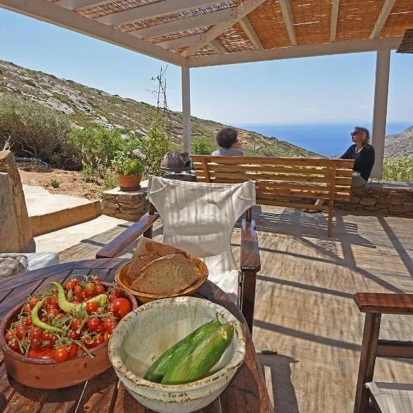 Traditional stone house 1bedroom, sea view, Syros，位于阿诺锡罗斯的酒店