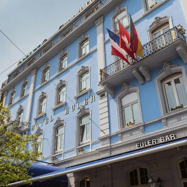 Hotel Euler Basel，位于明兴施泰因的酒店