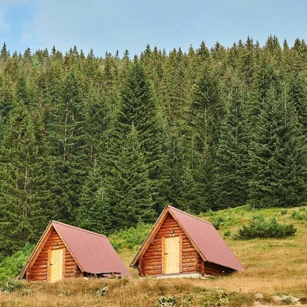 Sustainable Samel's Cottage Hrid's lake Prokletije，位于普拉夫的酒店
