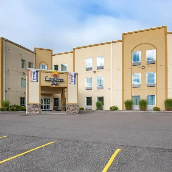 Comfort Inn Apalachin - Binghamton W Route 17，位于Owego的酒店