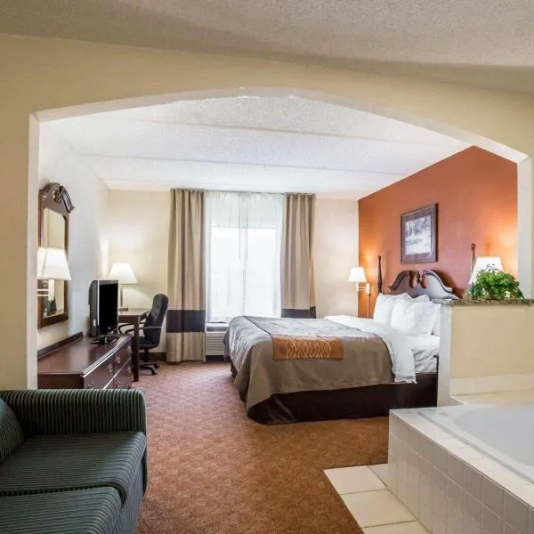Comfort Inn & Suites at I-85，位于Lynwood的酒店