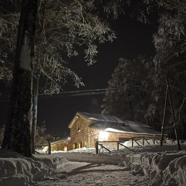 Chalet Vecchio Rifugio - Monte Amiata，位于皮亚诺堡的酒店