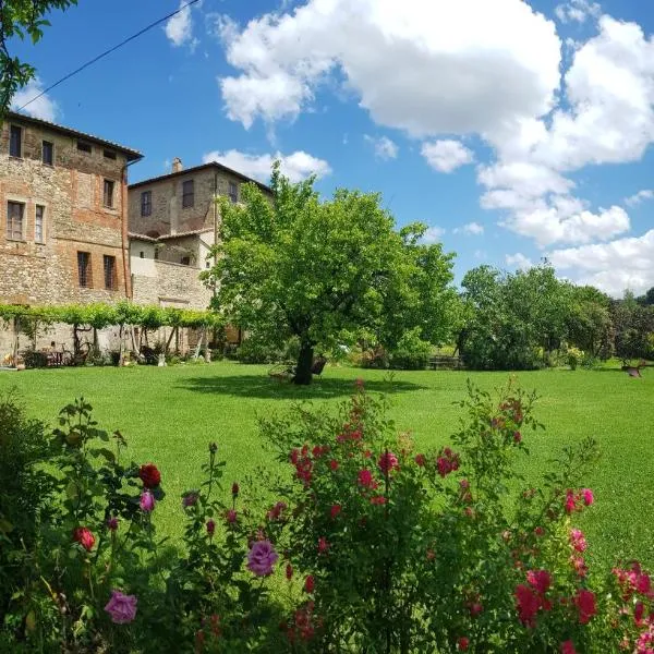 Agriturismo Abbazia Sette Frati a casa di Sara，位于Castiglione della Valle的酒店