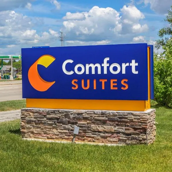 Comfort Suites Grayslake near Libertyville North，位于Round Lake Park的酒店