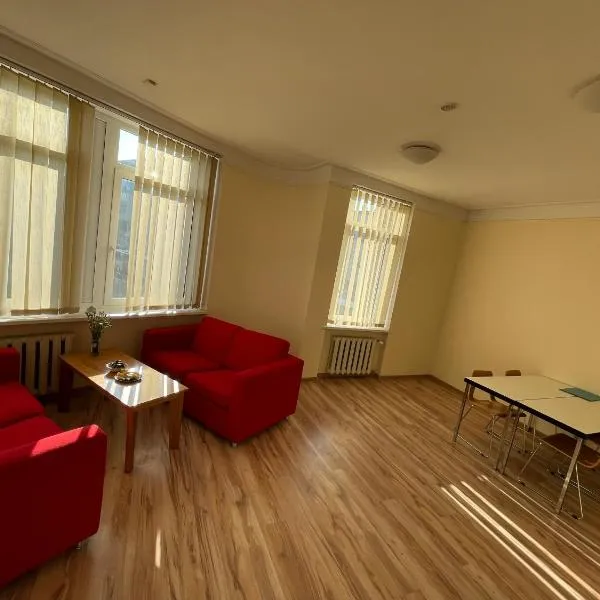 Mr Jo’s hostel，位于考纳斯的酒店