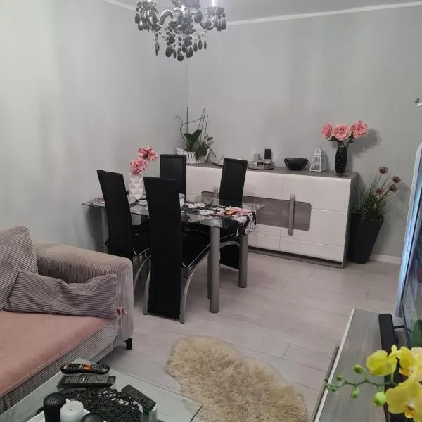 Apartament przy Kopalni Złota，位于兹沃蒂斯托克的酒店