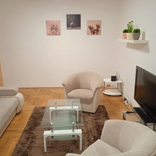 Family apartment-családias hangulat，位于Dunaszeg的酒店