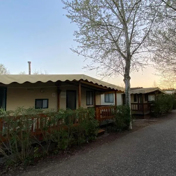 Zona Rosa 5 Chalet mit Klimaanlage und Wlan，位于维亚雷焦的酒店