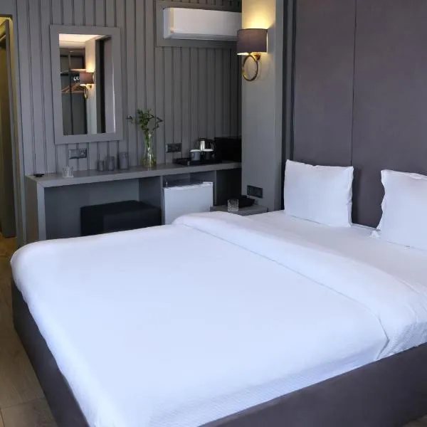 Dilens Bosphorus Hotel，位于伊斯坦布尔的酒店