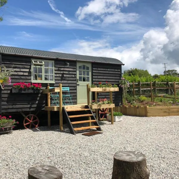 Willow Brook Shepherd Hut，位于Dawlish Warren的酒店