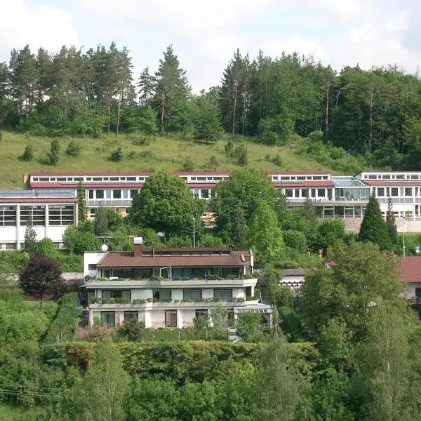Pension Grasy，位于Aidlingen的酒店