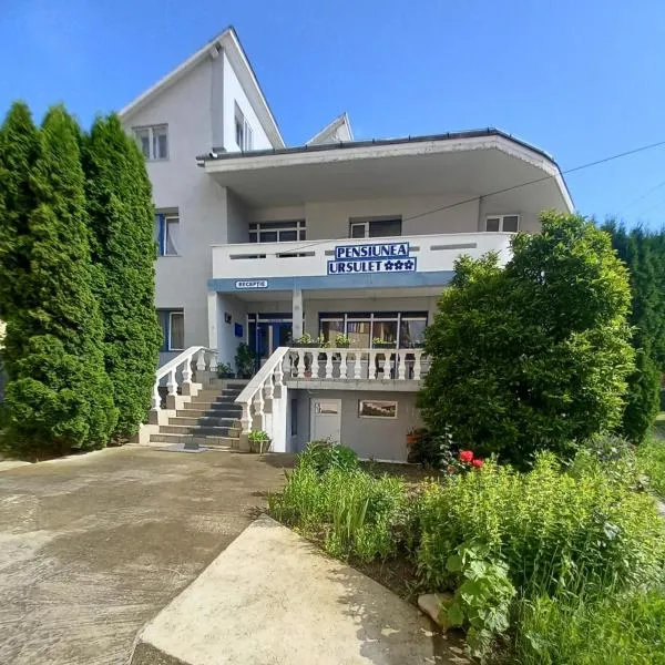 Pensiunea Ursulet，位于Pângărăcior的酒店
