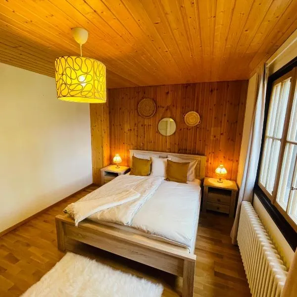 Chalet 6 personnes avec sauna，位于莱森的酒店
