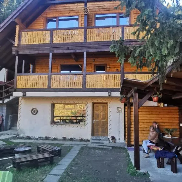 Cabana "Trei Brazi " Retezat，位于Nucşoara的酒店