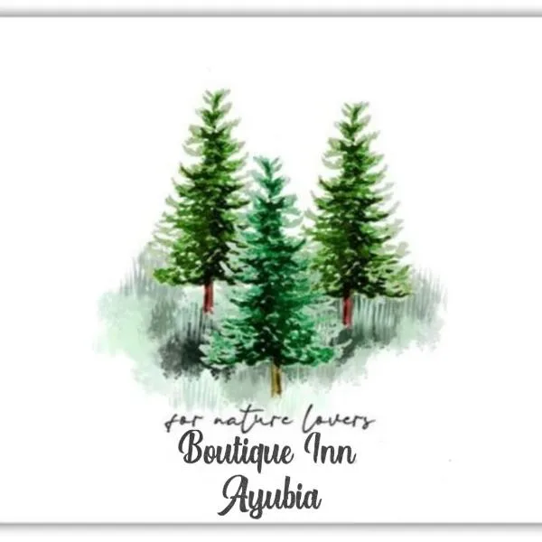 Boutiqueinn Ayubia，位于Nikka Maha的酒店