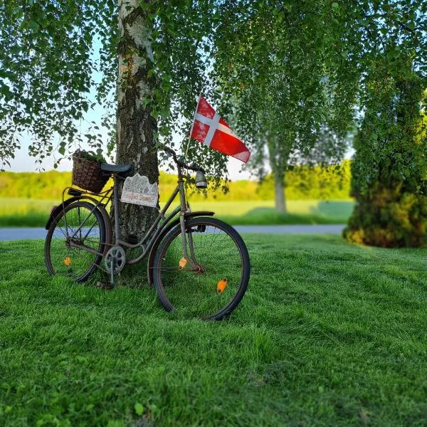 B&B Bauernhofferien auf Møn，位于Askeby的酒店