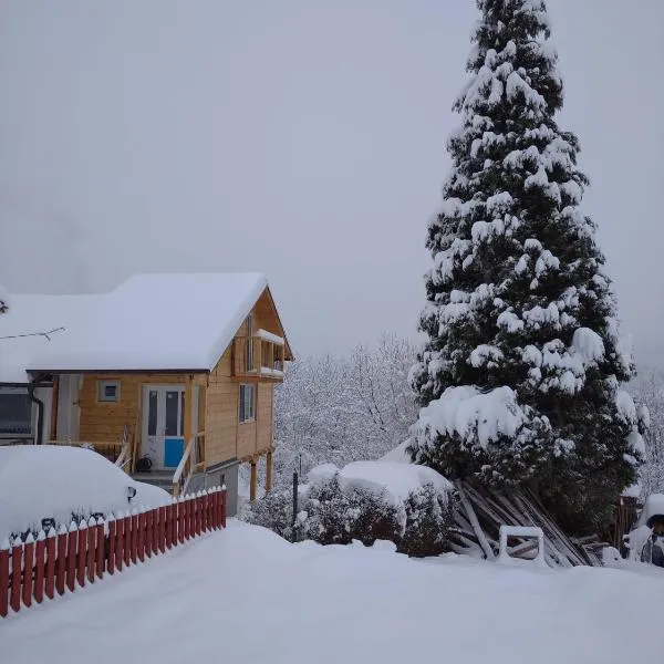 Apartman Čivović，位于鲁德尼克的酒店