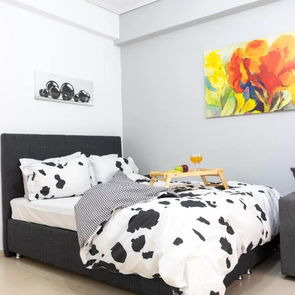 C3 Modern Spartan Apartment，位于斯巴达的酒店