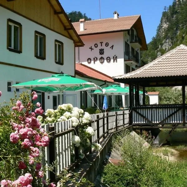 Семеен хотел Орфей，位于Zmeitsa的酒店
