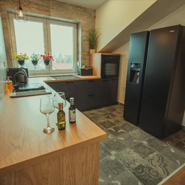 APARTMANI INFINITY，位于奥西耶克的酒店