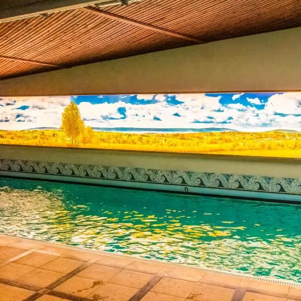 Hotel Senator Konferencje & SPA，位于斯塔拉霍维采的酒店