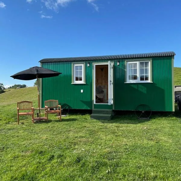 Fauld O Wheat Shepherds Hut , Loch Ken ,Off Grid，位于道格拉斯堡的酒店