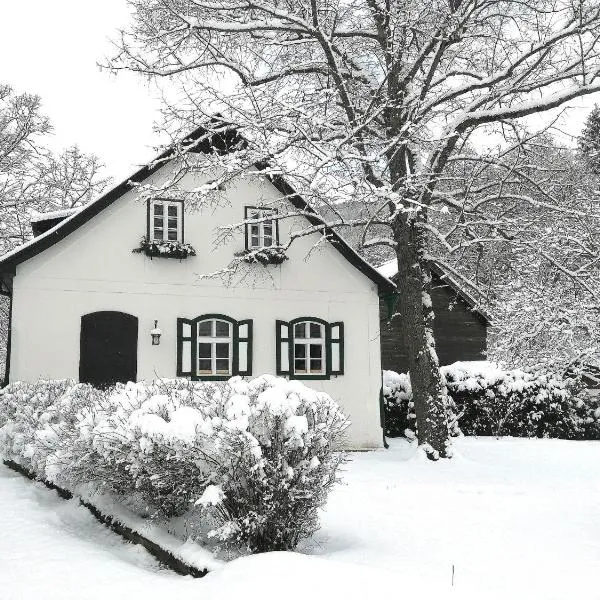 LANDSITZ OBERHOF petit hôtel，位于Muggendorf的酒店