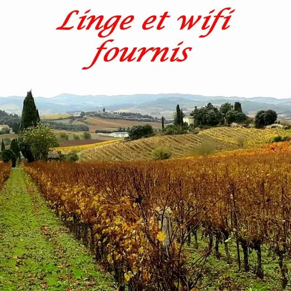 La Languedocienne appartement climatisé centre ville wifi inclus，位于利穆的酒店