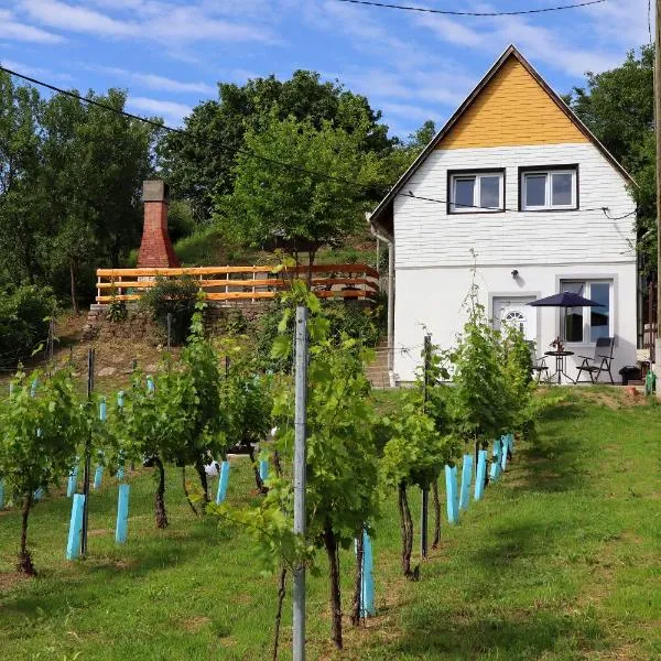 Szőlőskert Vendégház，位于Neszmély的酒店