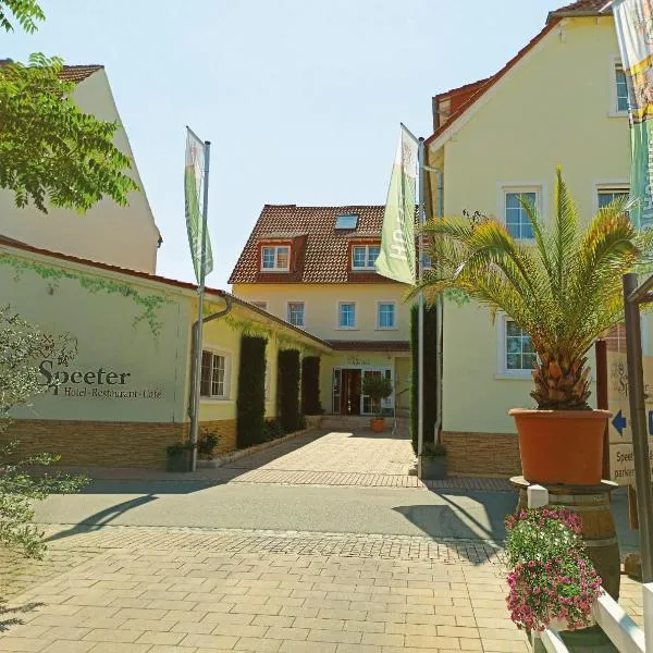 施皮特酒店，位于Lambsheim的酒店