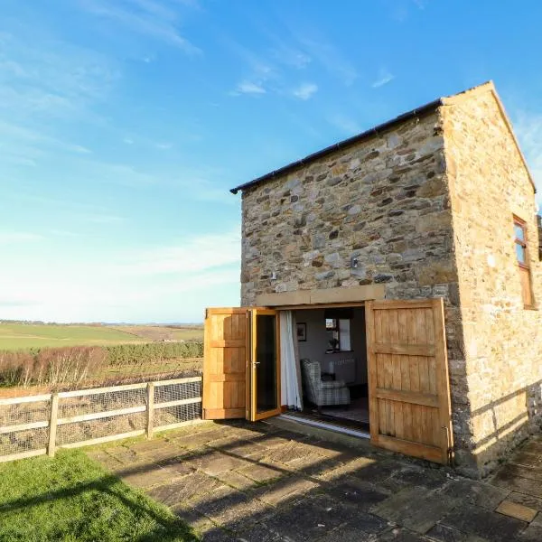 Blackburn Cottage Barn，位于Hamsterley的酒店
