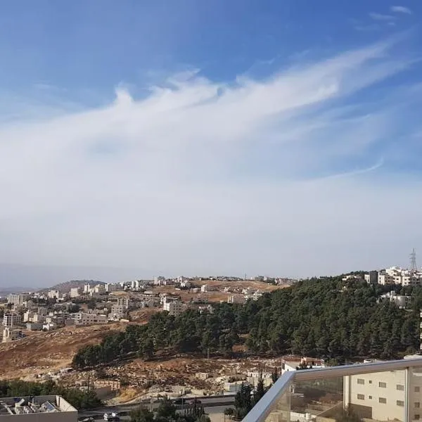 Penthouse overlooking Jordan valley，位于Shūnat Ibn ‘Adwān的酒店