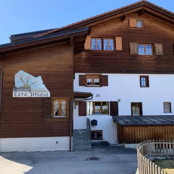 Casa Steilalva - grosszügiges Chalet für erholsamen Familienurlaub，位于迪森蒂斯的酒店