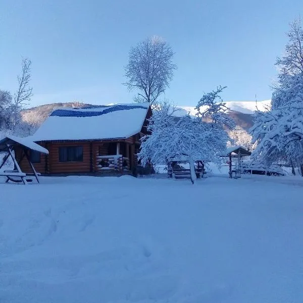 Cottage Лісовий，位于Bukovets的酒店