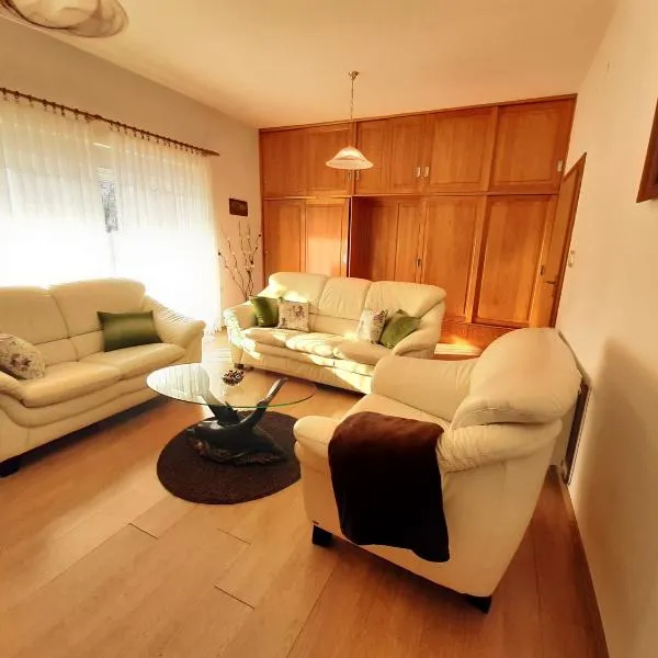 Apartment Gorska vila，位于Desmerice的酒店