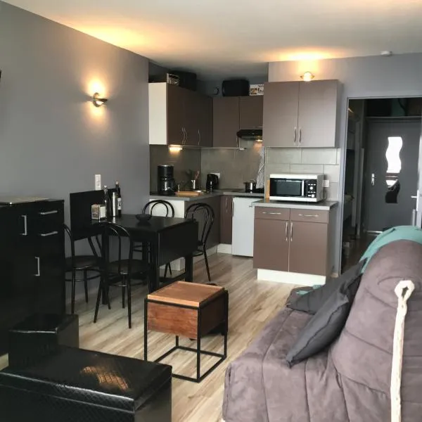 Appartement 4 personnes au pied des pistes，位于彼埃尔圣马丁的酒店