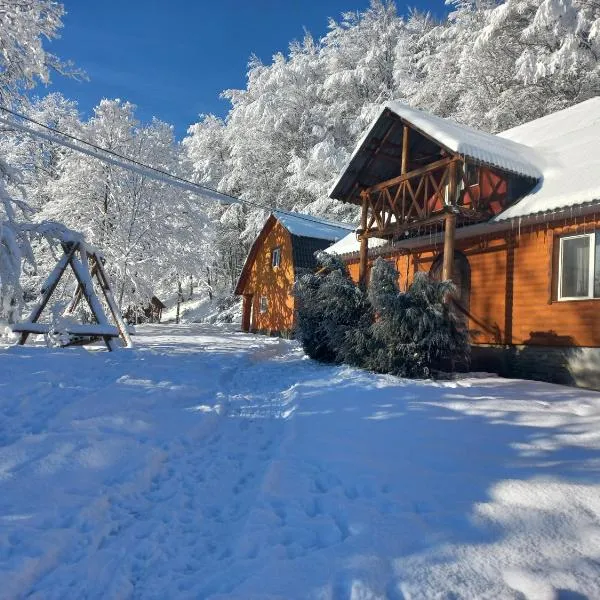 格拉克山林小屋，位于Nizhniy Studenyy的酒店