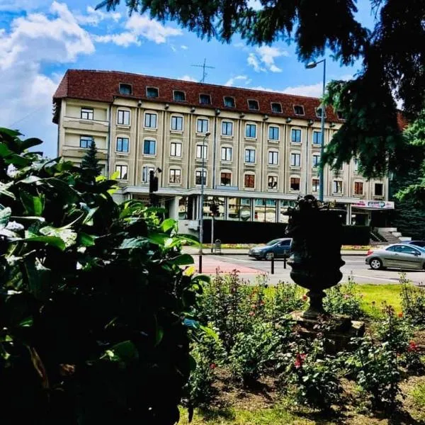 HOTEL MUNTENIA，位于Băneşti的酒店