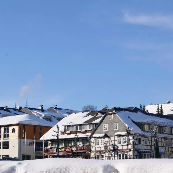 多尔夫 - 阿尔姆酒店，位于维林根的酒店