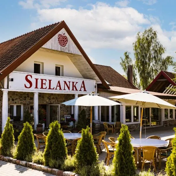 Kozi Dwór - Sielanka，位于Stękiny的酒店