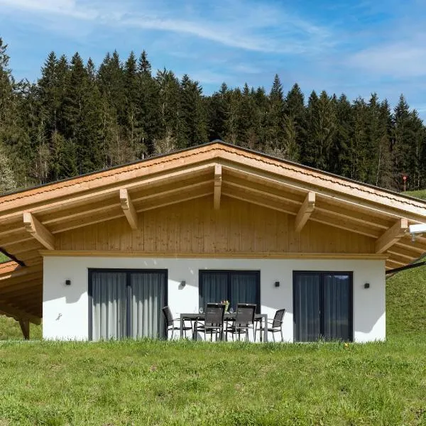 Ferienhaus zur Biene，位于瑟尔的酒店