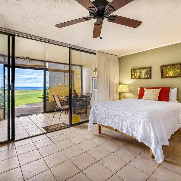 Waikoloa Village Condos E10，位于瓦克拉的酒店